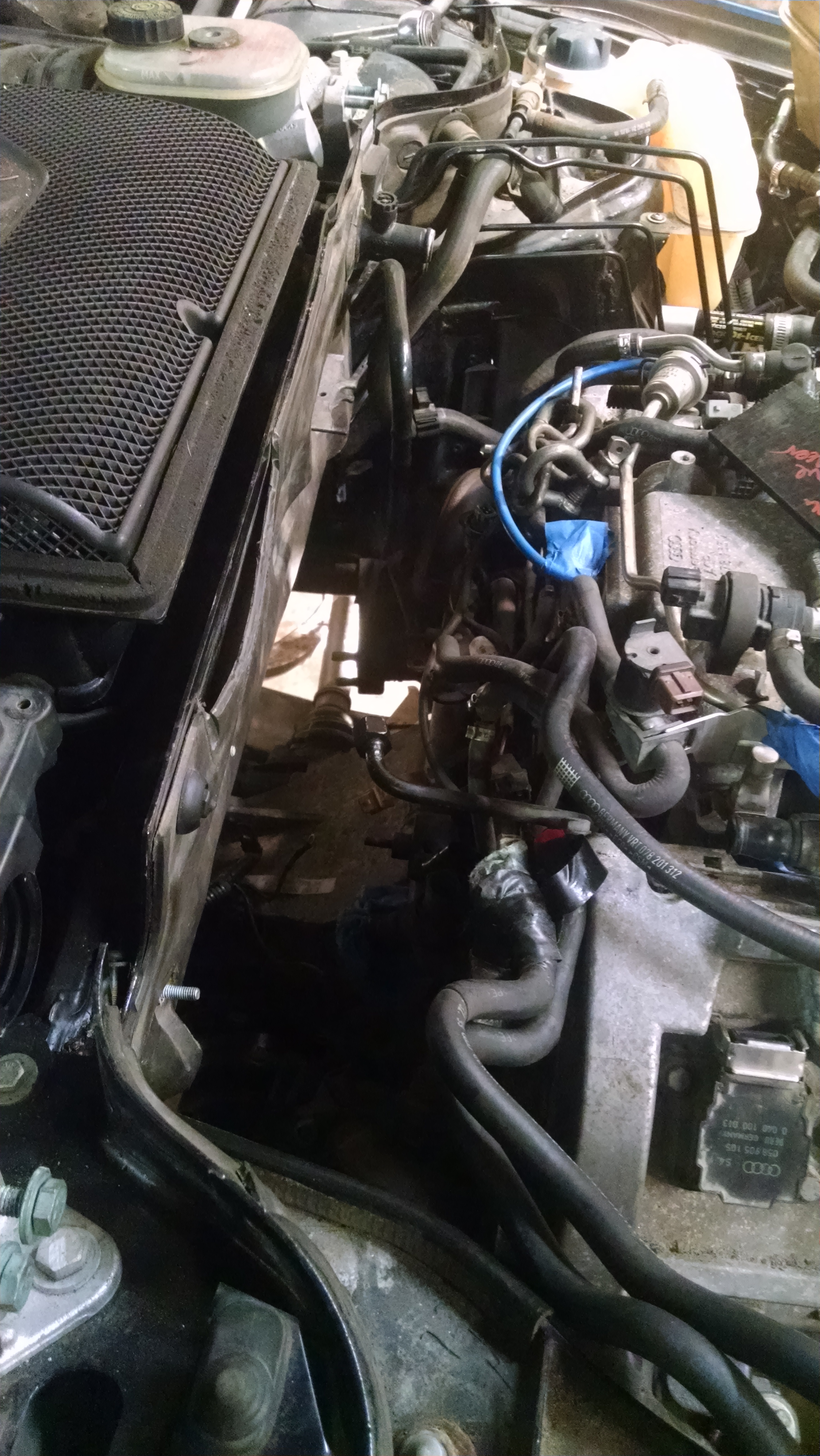 lots of space back there.jpg