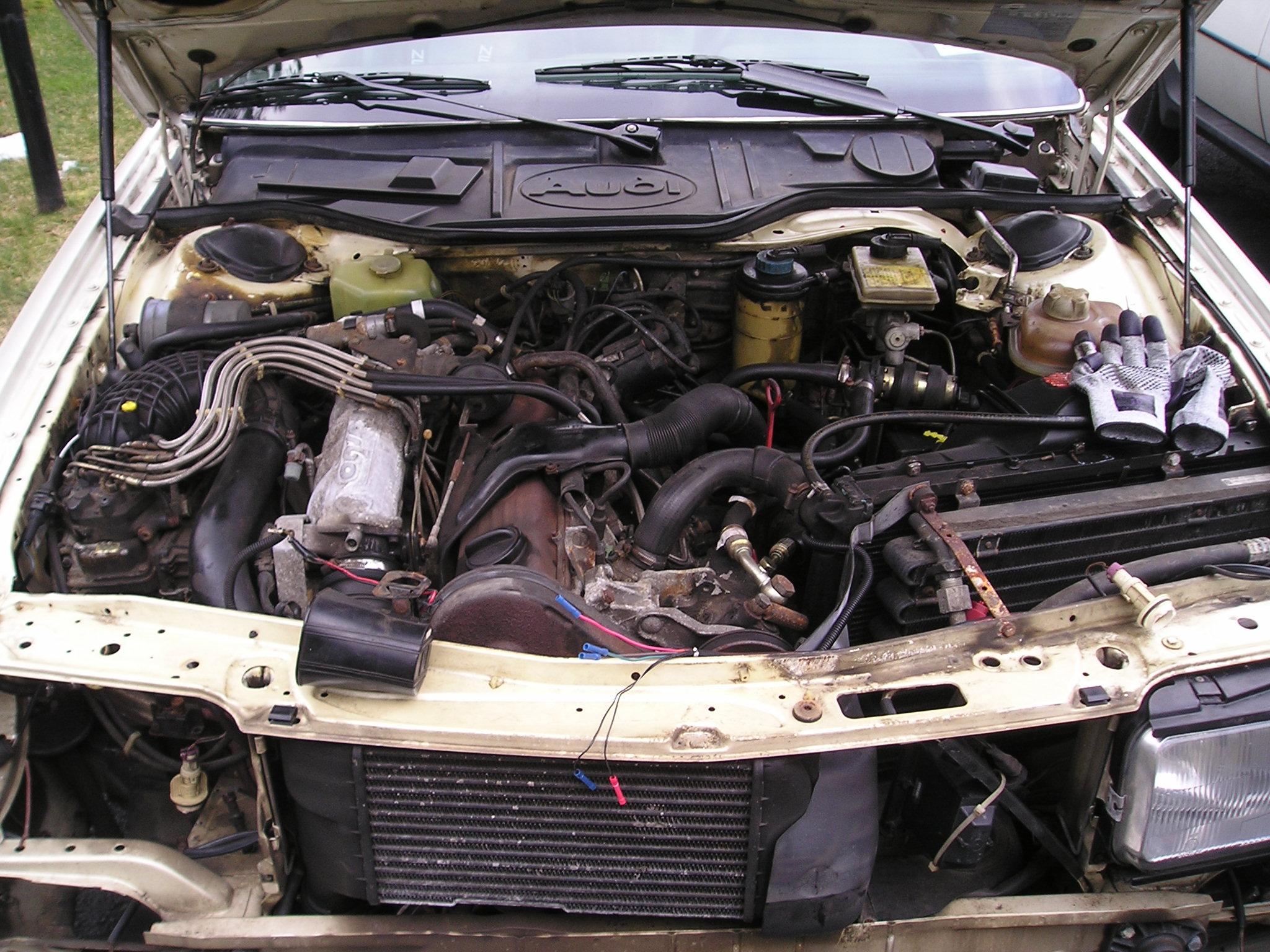 engine bay.jpg